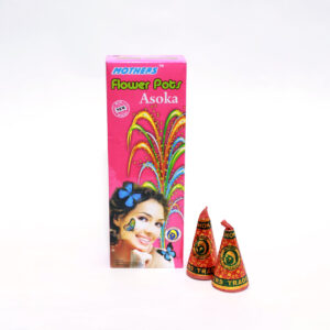 Flower Pot Ashoka