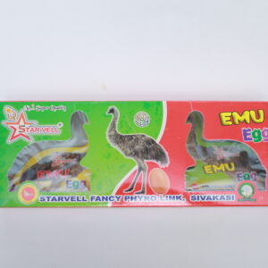 Emu Egg (2 pcs)