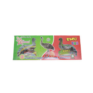 Emu Egg - 2 Pcs